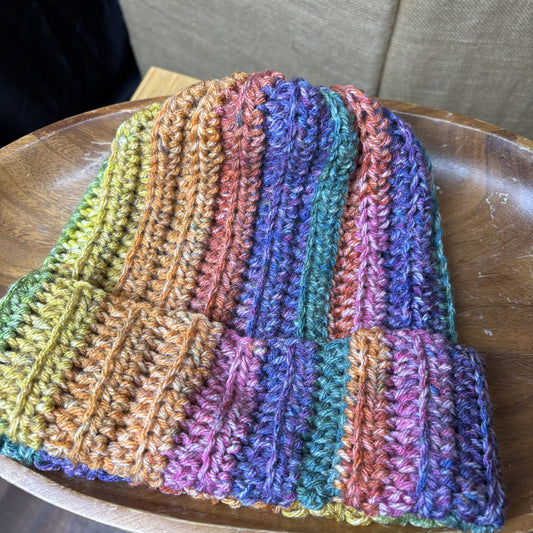 Chunky Multicolor Beanie