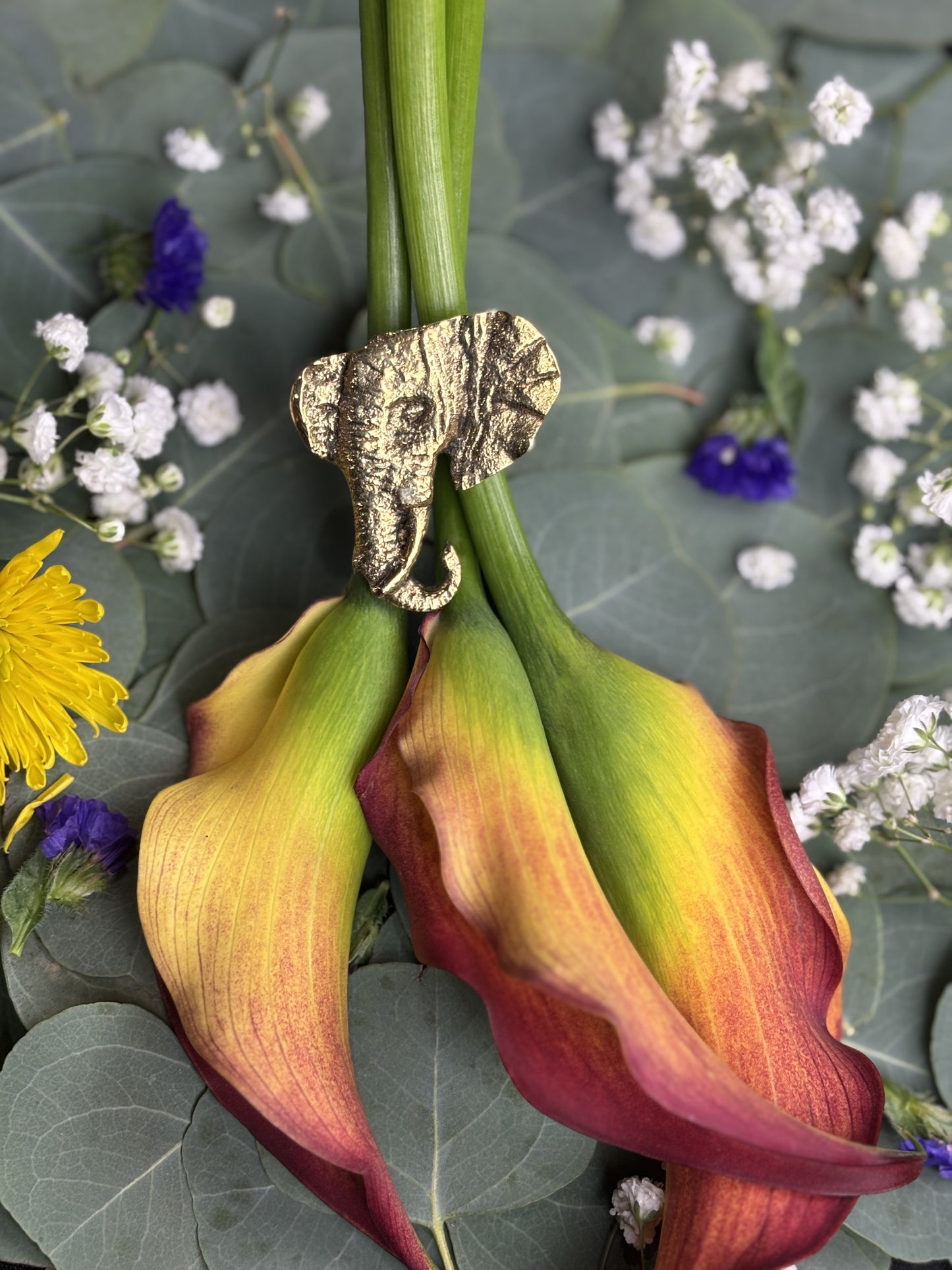 Elephant (Spring Edition)