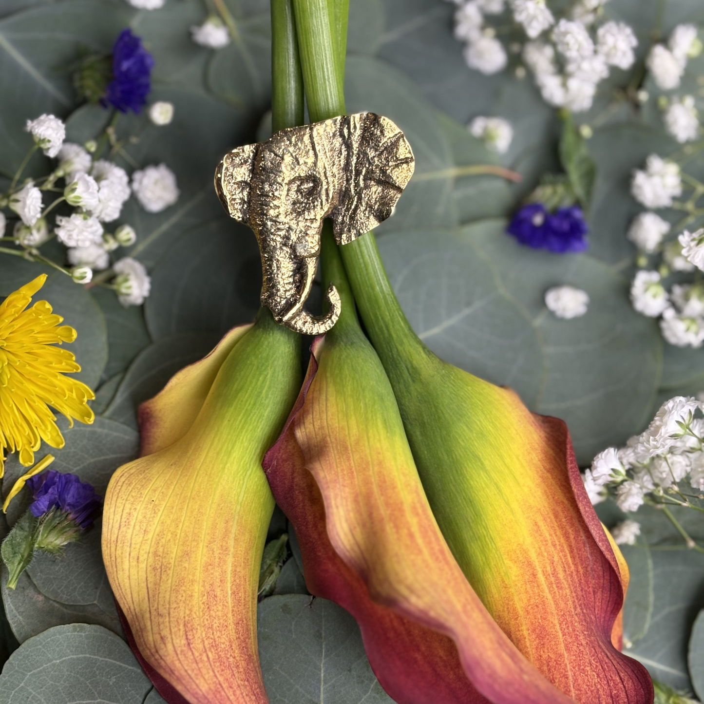 Elephant (Spring Edition)