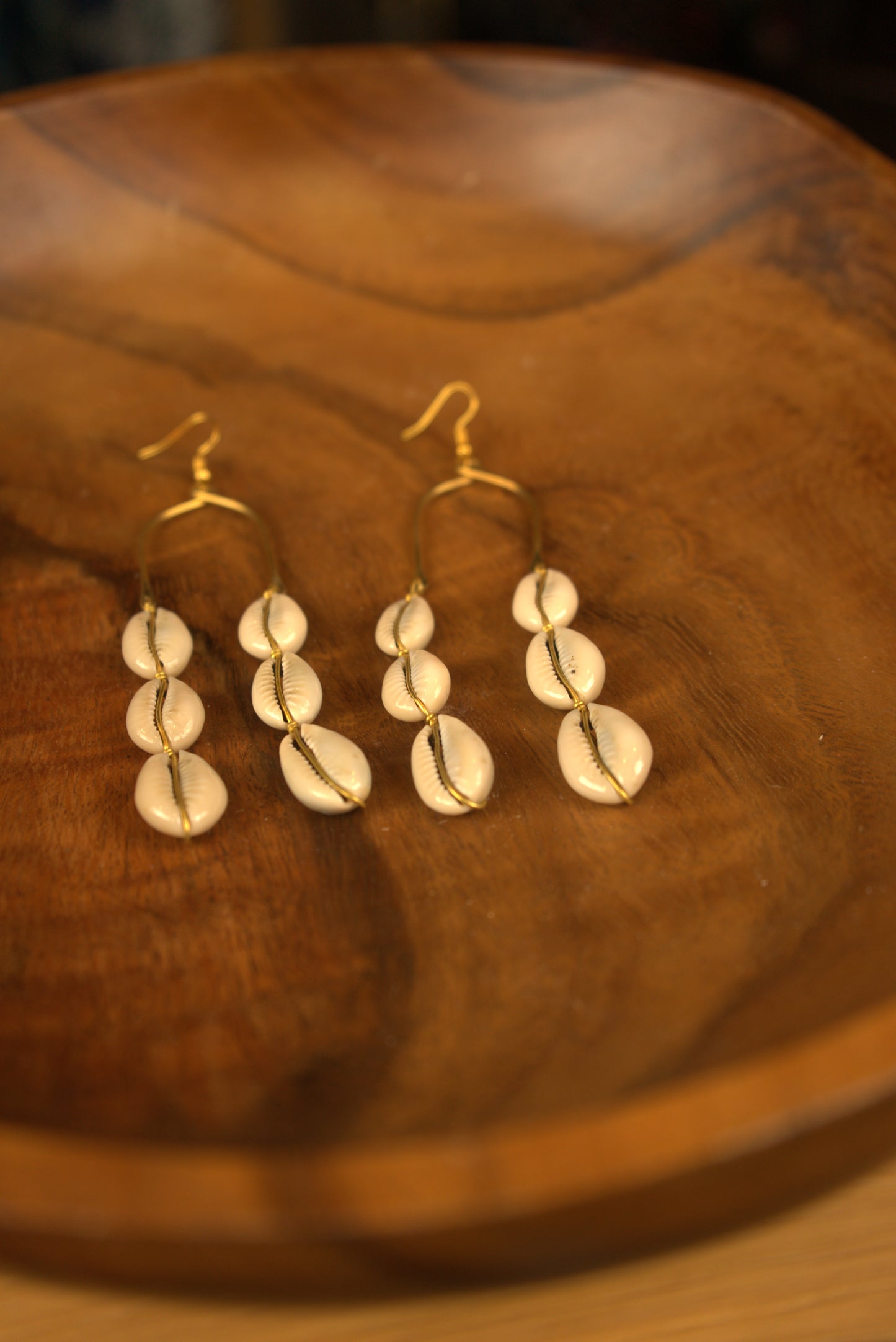 Cowrie Shell Earrings