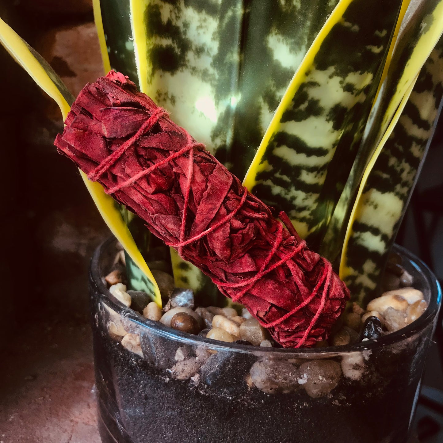 Dragon's Blood Sage Smudge Stick