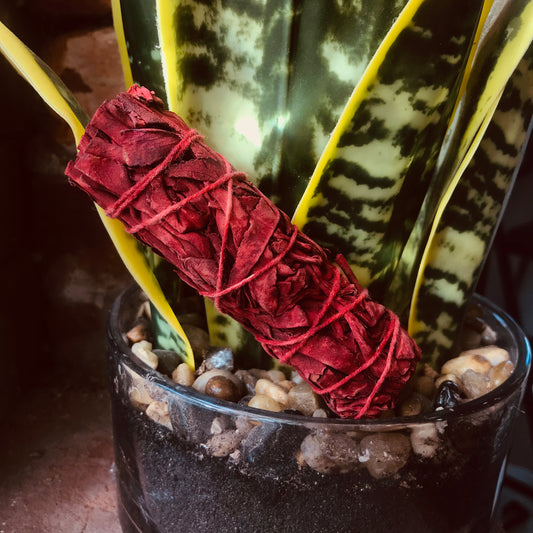 Dragon's Blood Sage Smudge Stick