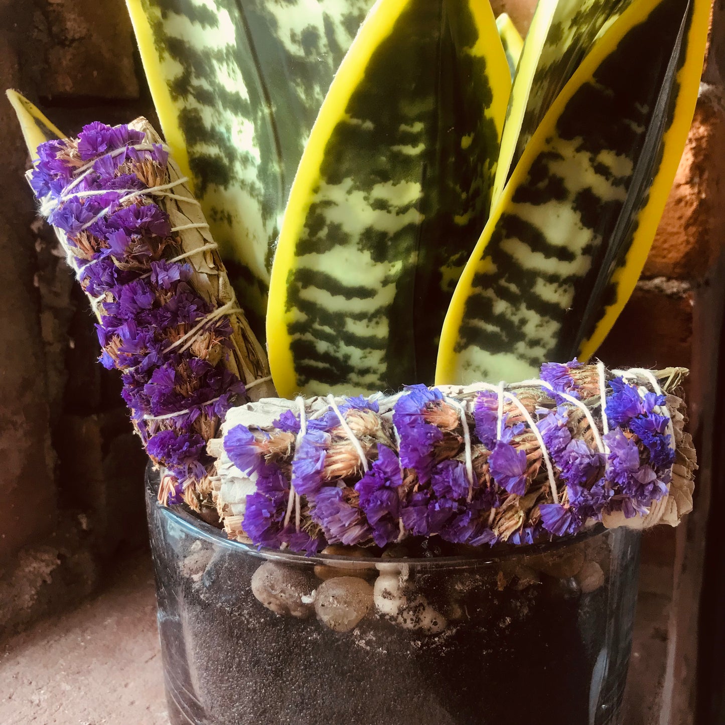 Wildflower Sage Bundle