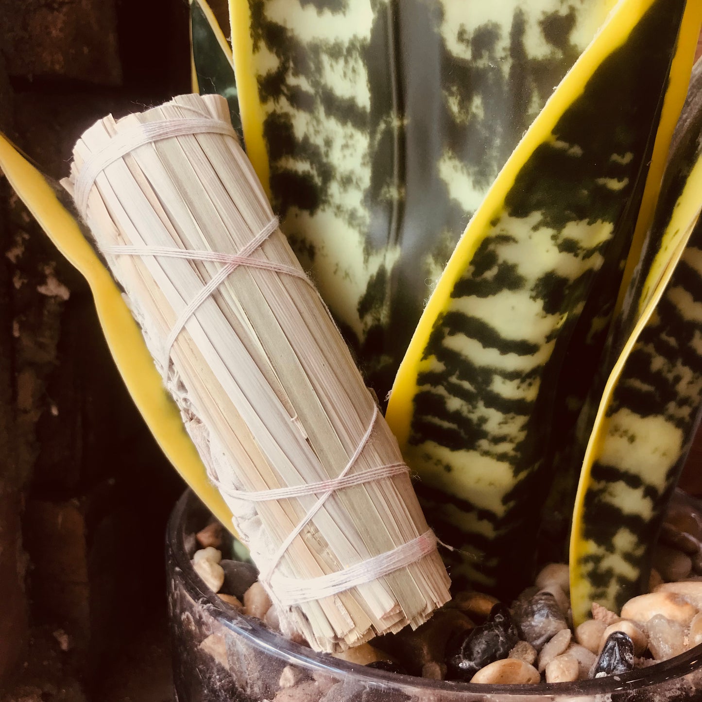 Eucalyptus White Sage Smudge Stick
