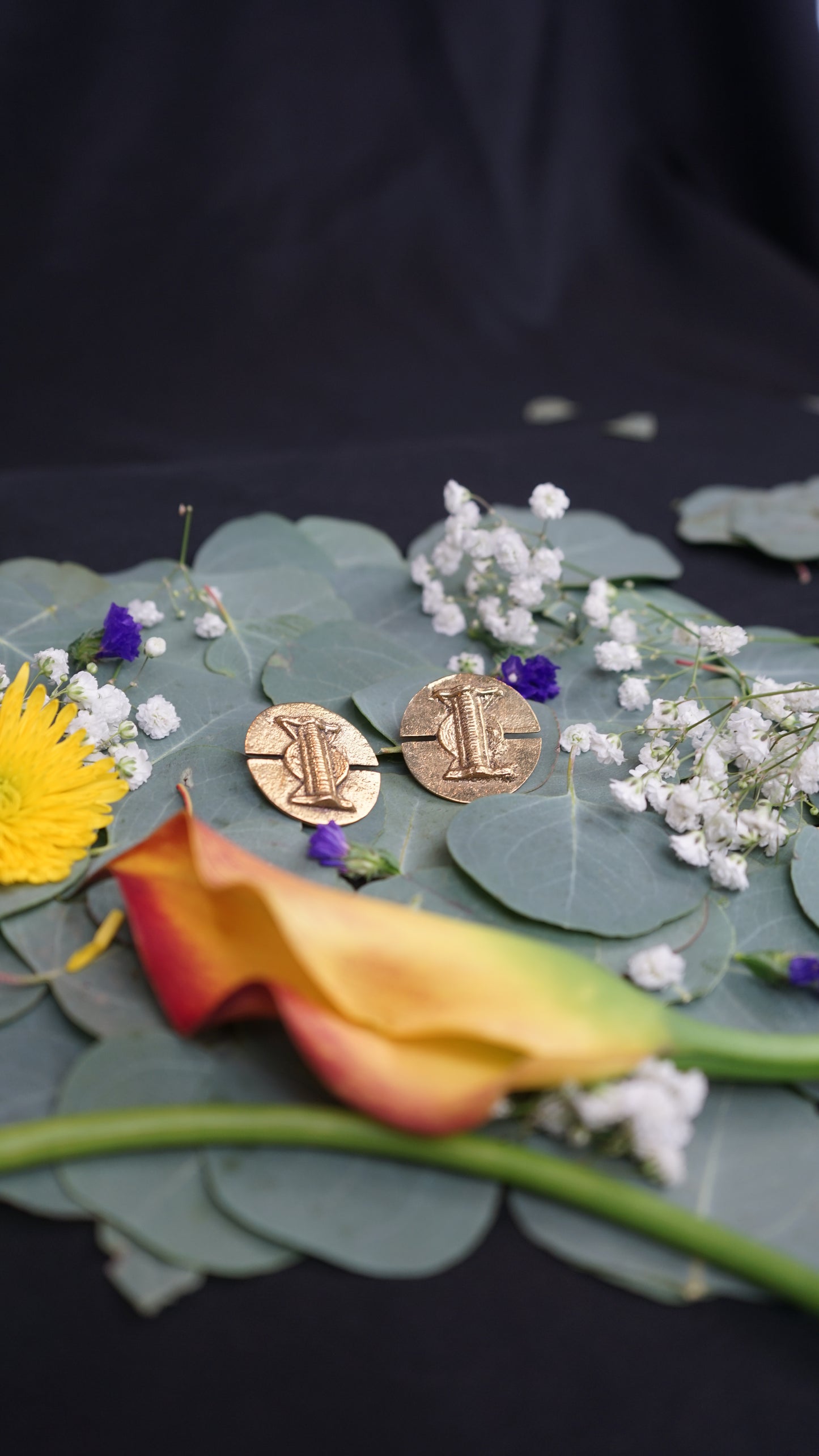 Gold Earring (Coin Edition)